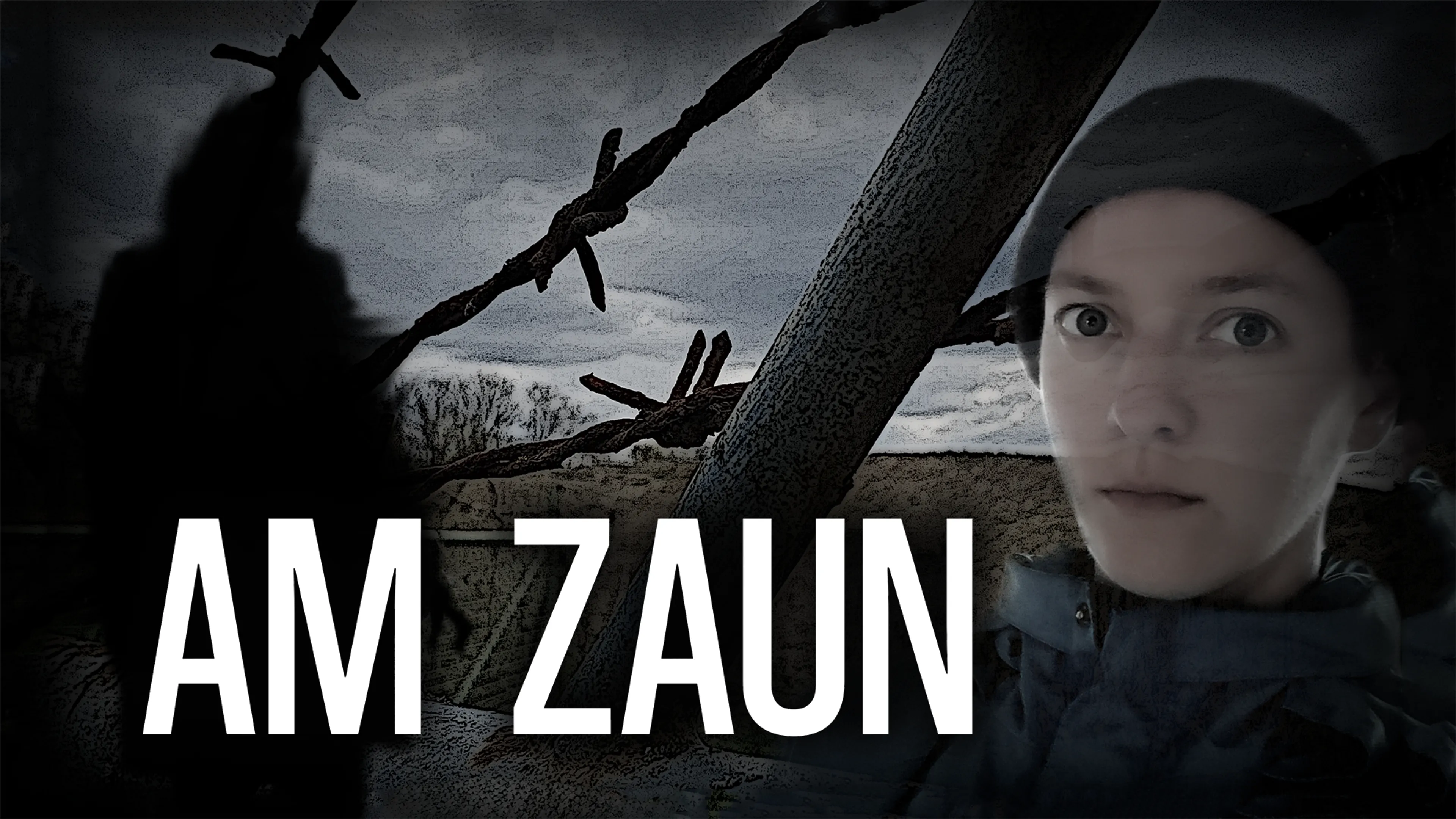 Am Zaun poster